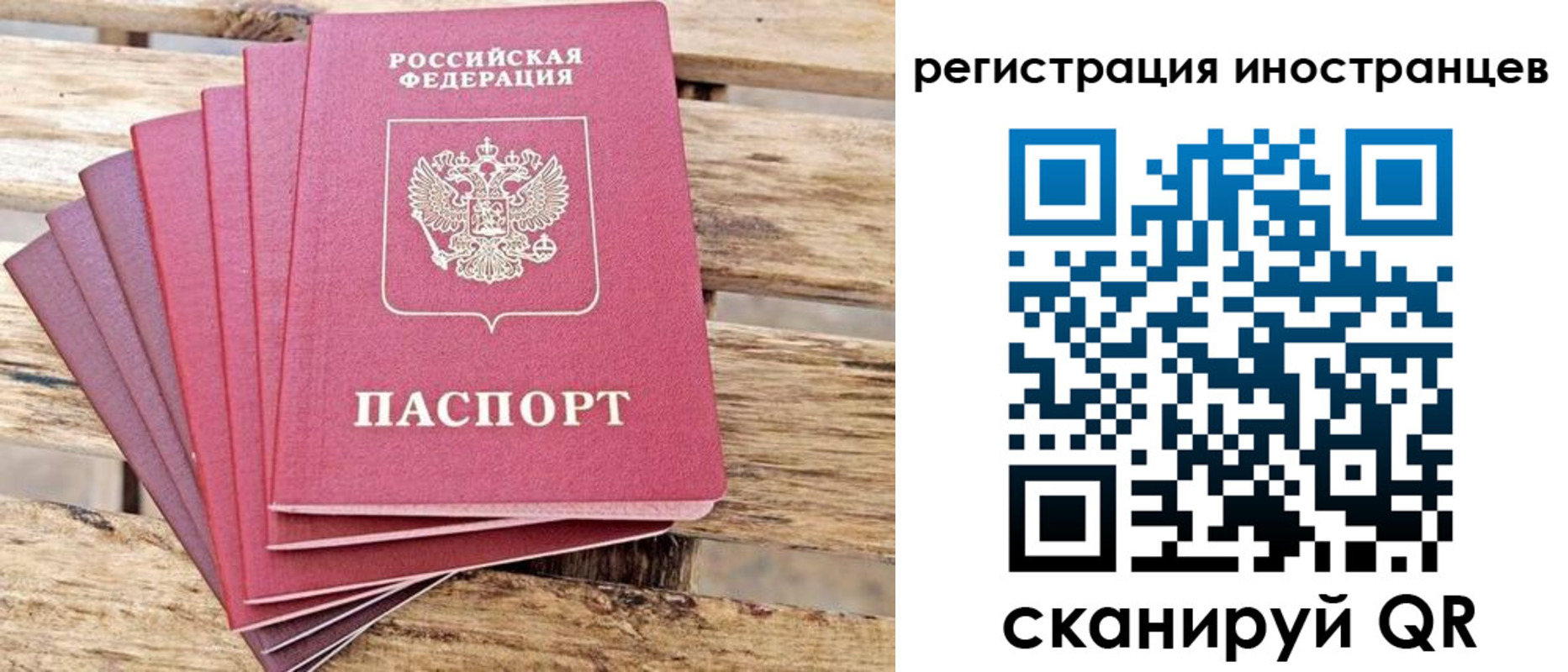 временная прописка в Ногинске